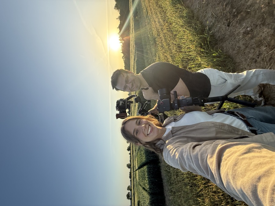 BTS 23